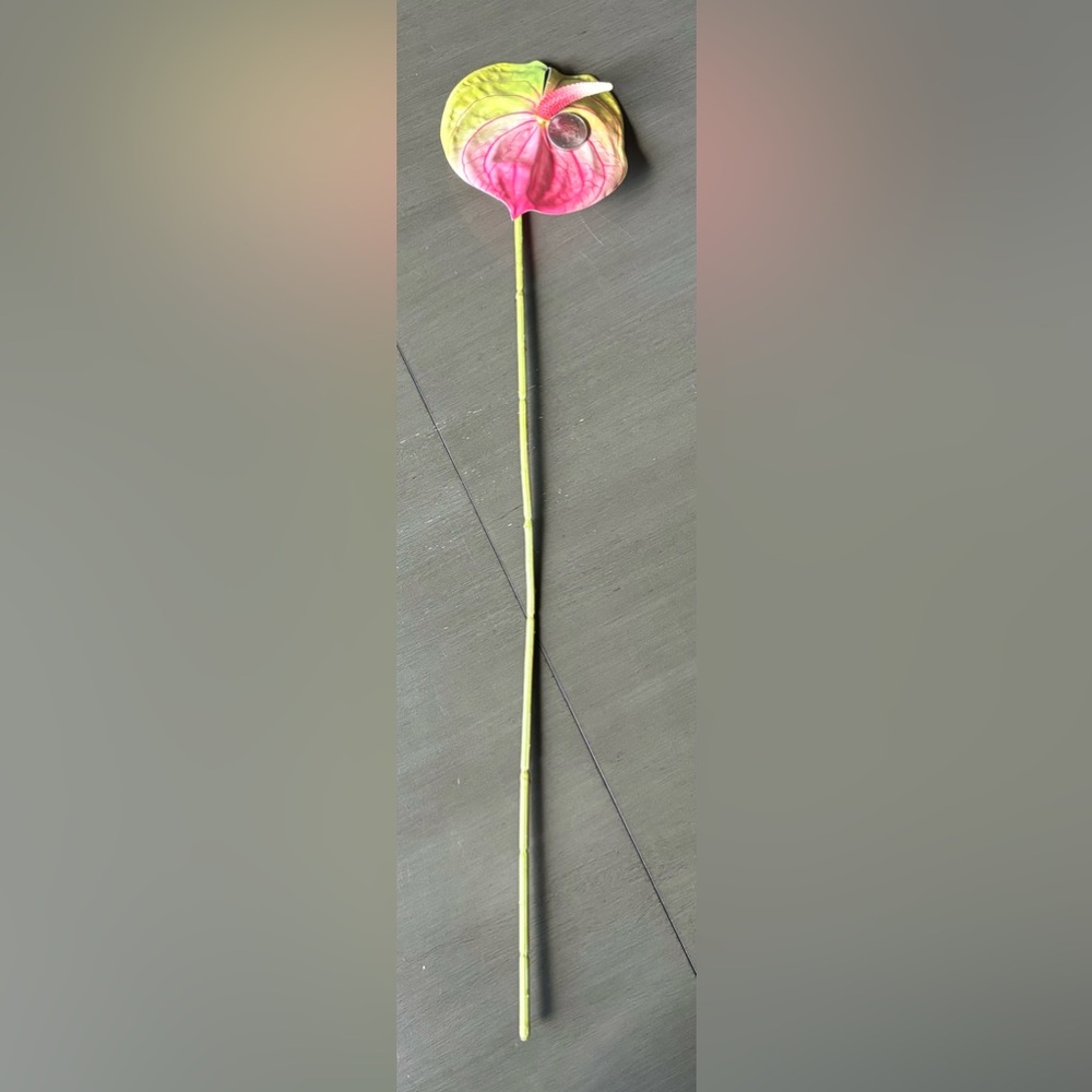 Gorgeous 3 Stems 22.5" Artificial Faux Multicolor Variegated Anthurium Flowers - Picture 7 of 7